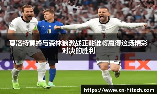 夏洛特黄蜂与森林狼激战正酣谁将赢得这场精彩对决的胜利